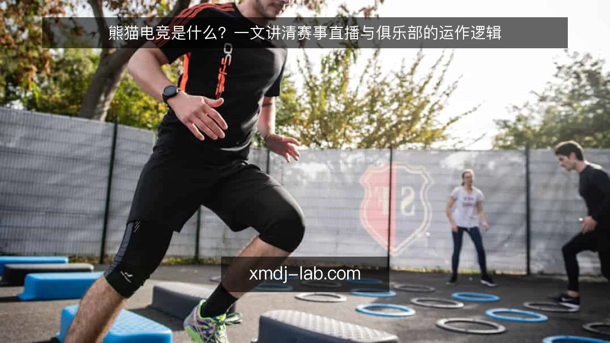 熊猫电竞是什么?一文讲清赛事直播与俱乐部的运作逻辑