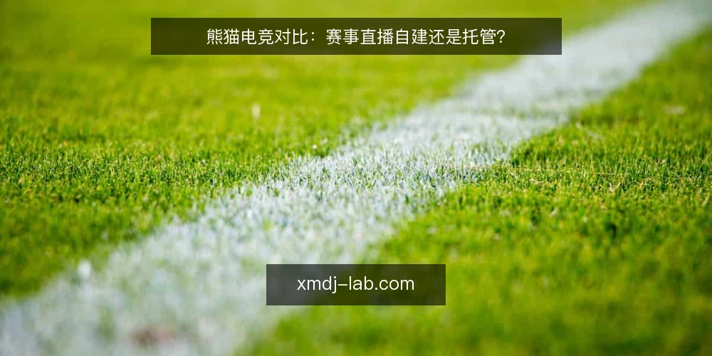 熊猫电竞对比:赛事直播自建还是托管? — 现场信号要盯什么 配图