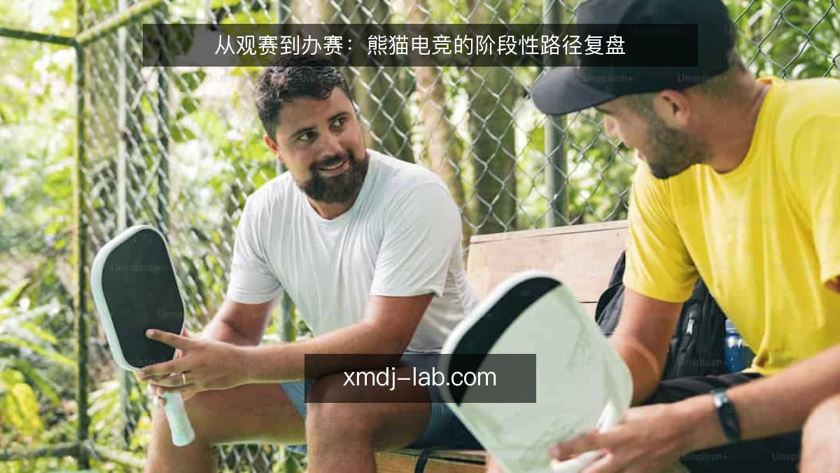 从观赛到办赛：熊猫电竞的阶段性路径复盘