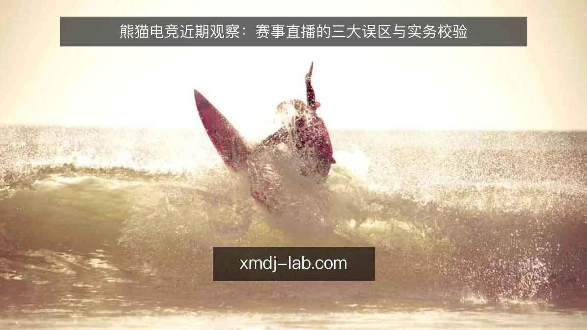 熊猫电竞近期观察：赛事直播的三大误区与实务校验