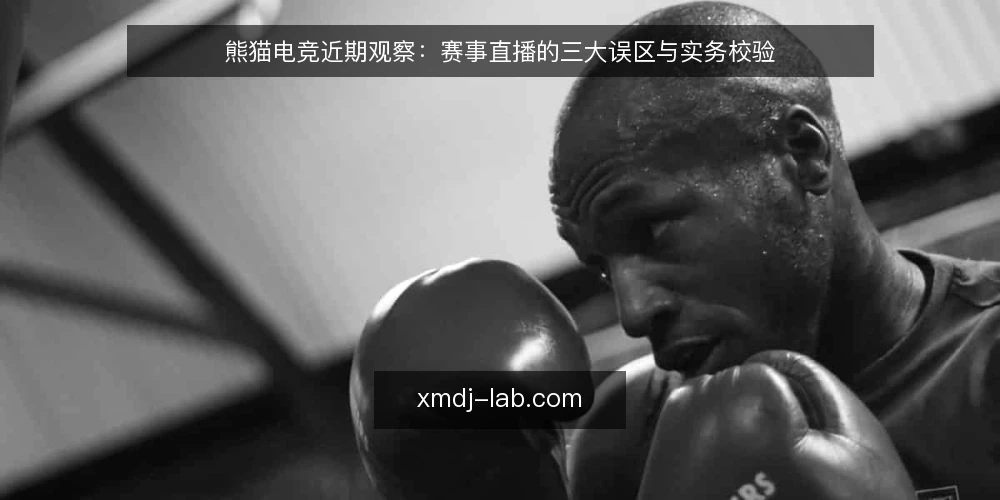 熊猫电竞近期观察：赛事直播的三大误区与实务校验 — 近期赛事直播中的常见误区 配图
