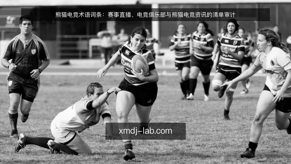 熊猫电竞术语词条:赛事直播、电竞俱乐部与熊猫电竞资讯的清单审计